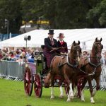 Perth Show…06.08.16
The Private Driving Turnout, single, pair or group to any type of vehicle…No 970 Mr R L N Lanni with ’Symen & Vinny’ make their way around the showground during judging.
Picture by Graeme Hart.
Copyright Perthshire Picture Agency
Tel: 01738 623350  Mobile: 07990 594431