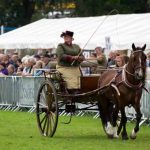Perth Show…06.08.16
The Private Driving Turnout, single, pair or group to any type of vehicle…No 973 Kim Pearson JD’s El Dorado make their way around the showground during judging.
Picture by Graeme Hart.
Copyright Perthshire Picture Agency
Tel: 01738 623350  Mobile: 07990 594431