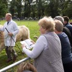 Perth Show…06.08.16
Watching the judging of one of the Charolais cattle classes
Picture by Graeme Hart.
Copyright Perthshire Picture Agency
Tel: 01738 623350  Mobile: 07990 594431