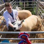 Perth Show…06.08.16
Ian Reid from Isle Cottage, Methven with his Champion Beltex 1 crop Ewe
Picture by Graeme Hart.
Copyright Perthshire Picture Agency
Tel: 01738 623350  Mobile: 07990 594431