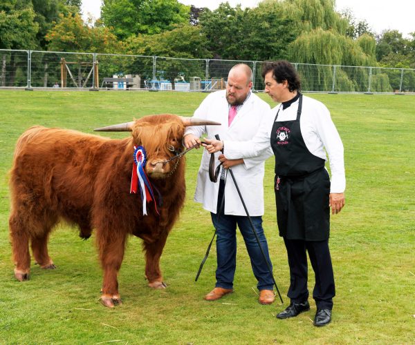 Perthshire on a Plate at Perth Show 2022
Guest chef Jean Christophe Novelli pictured with one year old multi roset winning Highland Bull calf Archie.
Picture by Graeme Hart.
Copyright Perthshire Picture Agency
Tel: 01738 623350  Mobile: 07990 594431